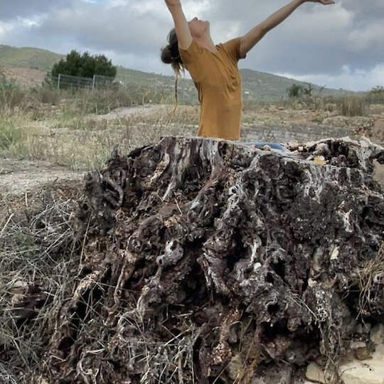 + Nature + Nature