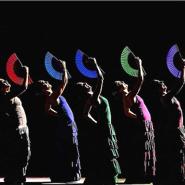 Workshop de Flamenco